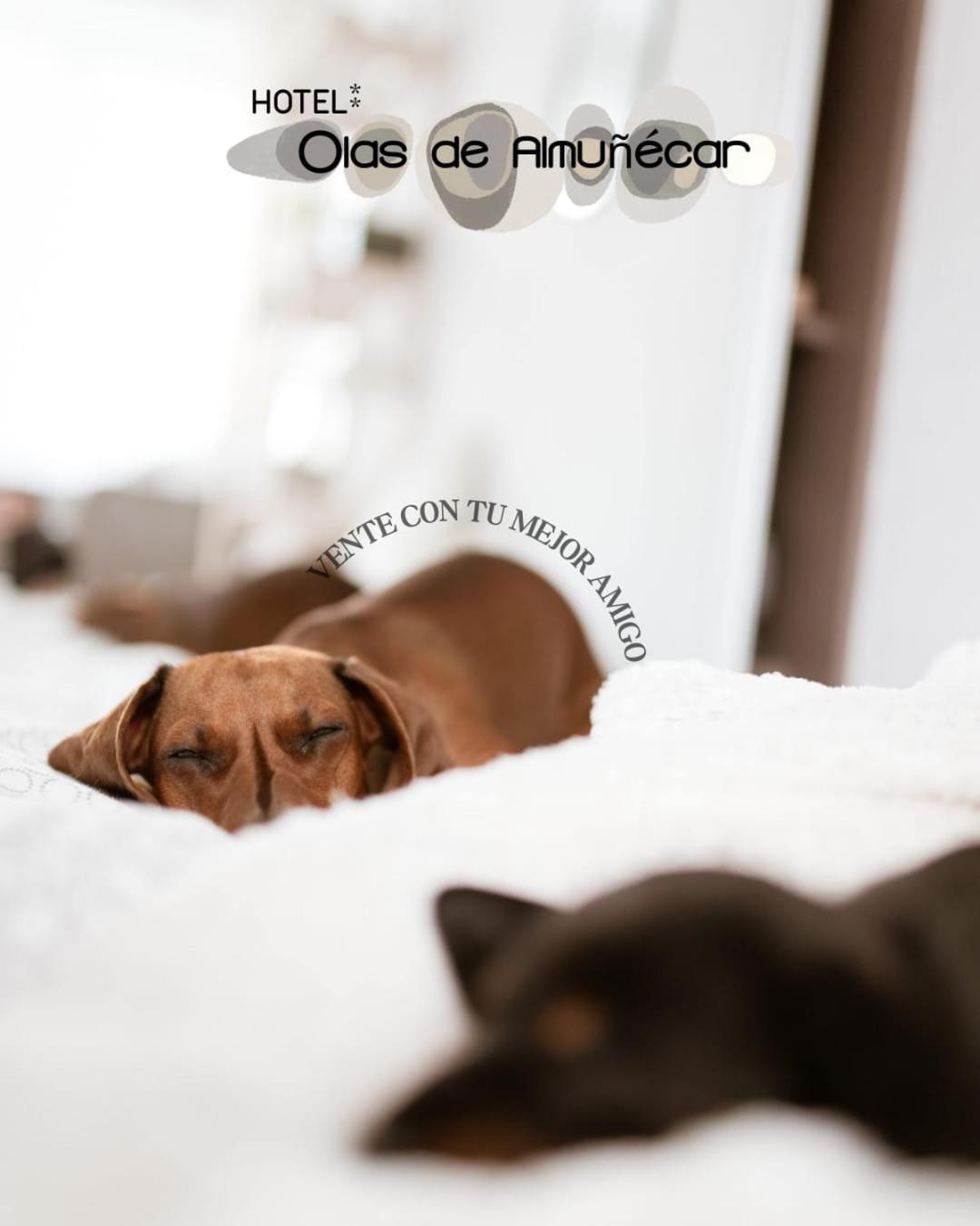 Hotel Olas De Almuñécar エクステリア 写真